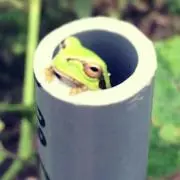 じっきーの画像
