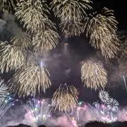 ボブの画像