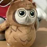ハラパララ(プロフ必読)の画像