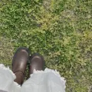 ぽむの画像