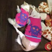リッカ