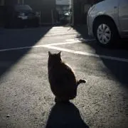 le pontの画像