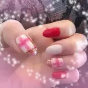 ケイの画像
