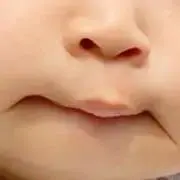 はちたろす