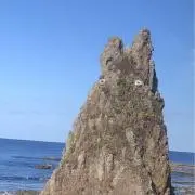 しゅコラむの画像