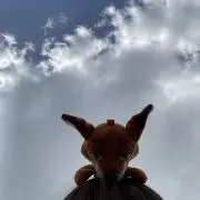 kの画像