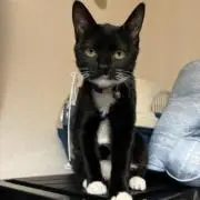 FELIX❣️