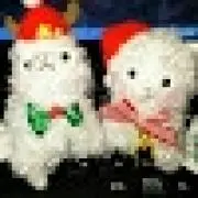 のん