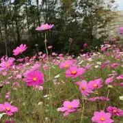 むーみん。の画像
