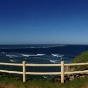Lyricoの画像