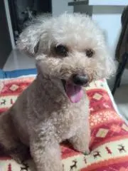 さっき