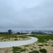 kyatnの画像