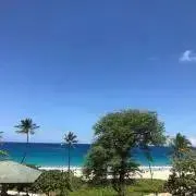 Akoの画像