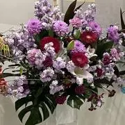 ⭐︎プロフィール確認必須⭐︎の画像