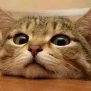 んんんんの画像
