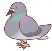 popoの画像