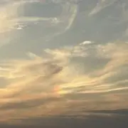 たかたか