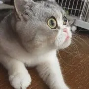 プロフィールをご確認下さい