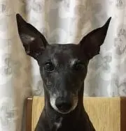ネロの部屋