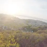 アルメ