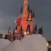 yjnの画像