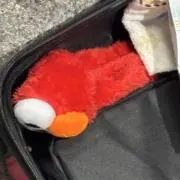バエイストの画像