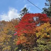 平和主義者　ハナの画像