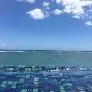 miの画像