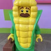 セナポナの画像