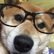 さっちゃん