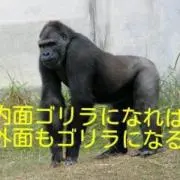 悠々