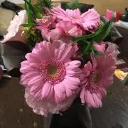 ここママの画像