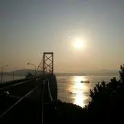 usako