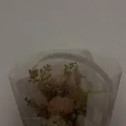 にゃす