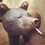 キナコ
