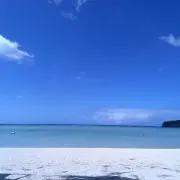 tori.【大量処分中☆値引き応じます】の画像