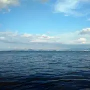 マサマサの画像