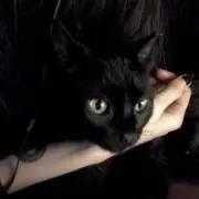 増田