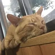 なお