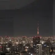 たかの画像