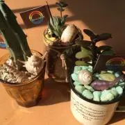 ume1208408の画像