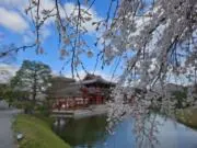 Maichi-mieの画像
