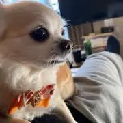 ゆういっちゃん