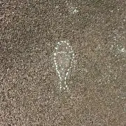つーの画像