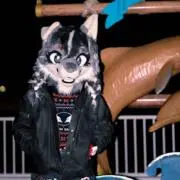 Tanukiの画像