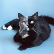 ふみふみ