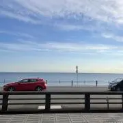 コレカガエルの画像