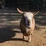 なこ。まとめ売りOK！の画像