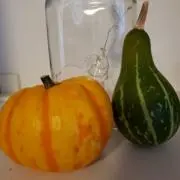 ナツカツの画像