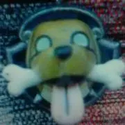海犬の画像